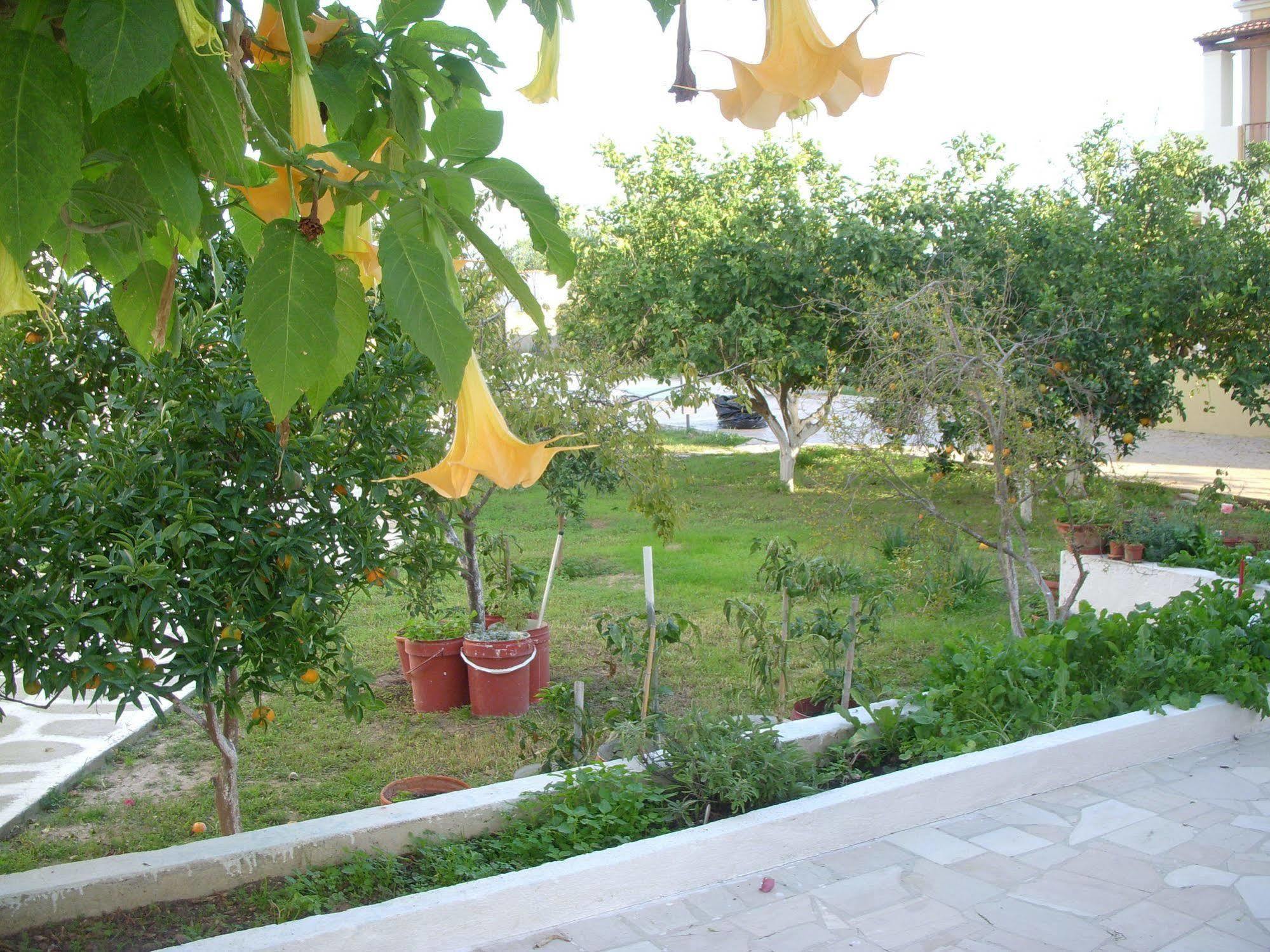 Likourgos Appartement *
